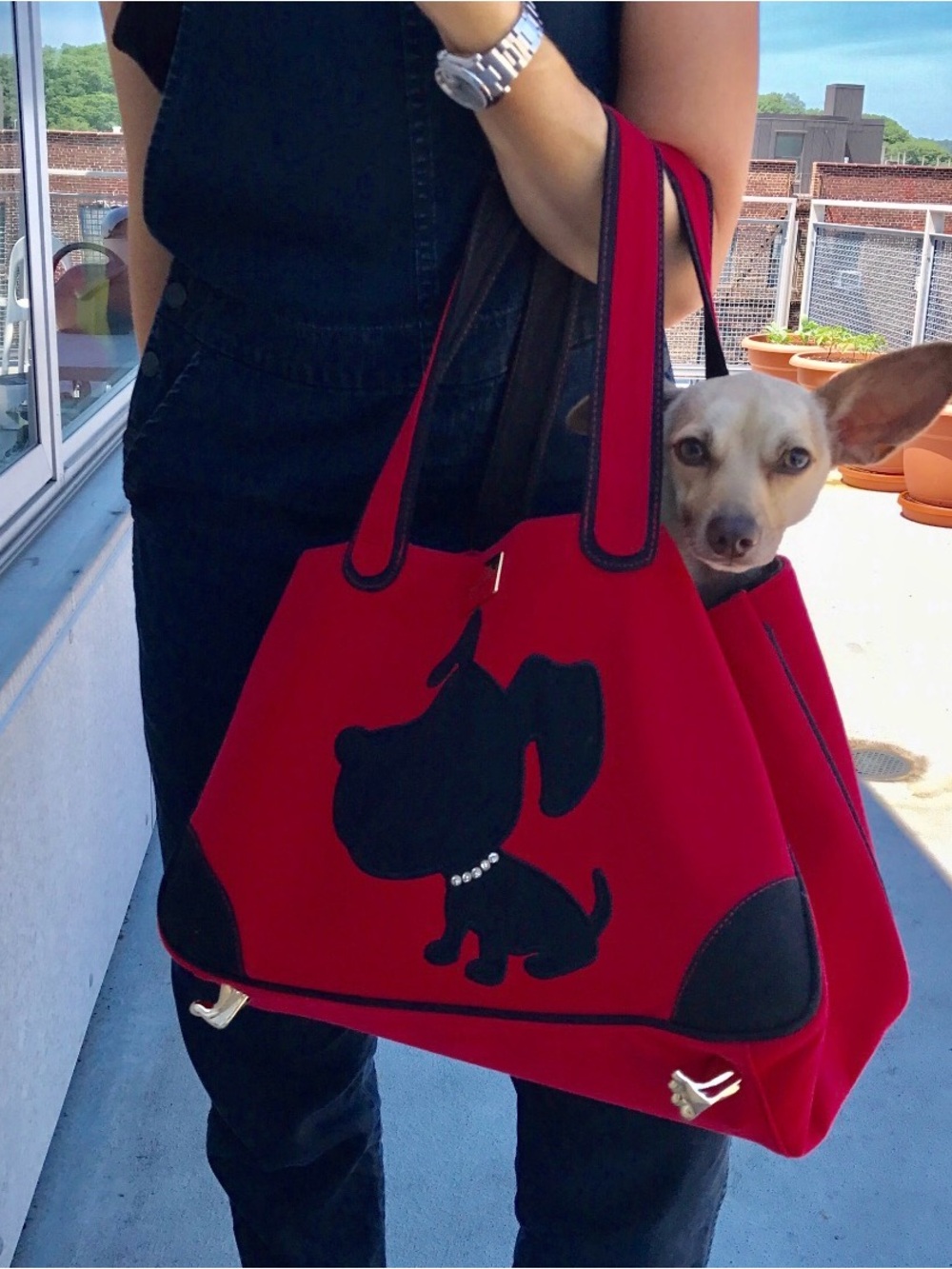 Glamorous Red Dog Carrier Tote Bag for Small Pets